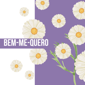 _bemmequero_